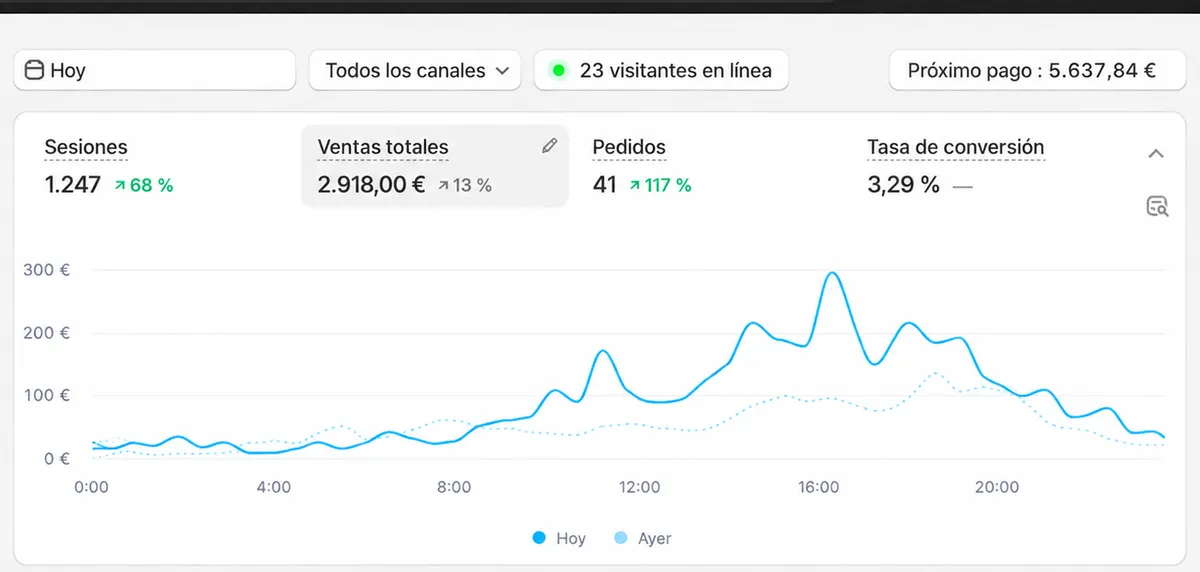 Panel de Shopify de un cliente de Likin del sector ropa personalizada, anonimizado